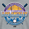Los Angeles (LA) City of Champions | Los Angeles Baseball Fans and Basketball Fans