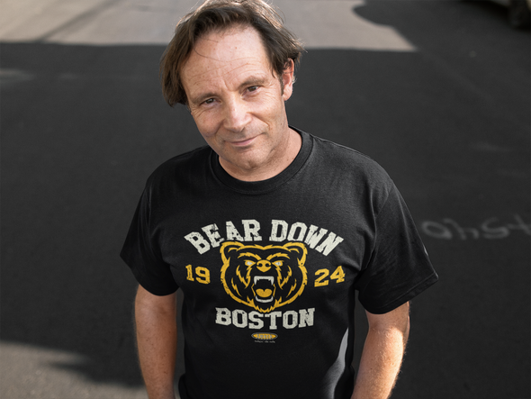 best Boston Bruins shirt
