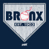 Bronx Established - Pro Baseball T-Shirt for New York Baseball Fans (NYY) (SM-5XL)